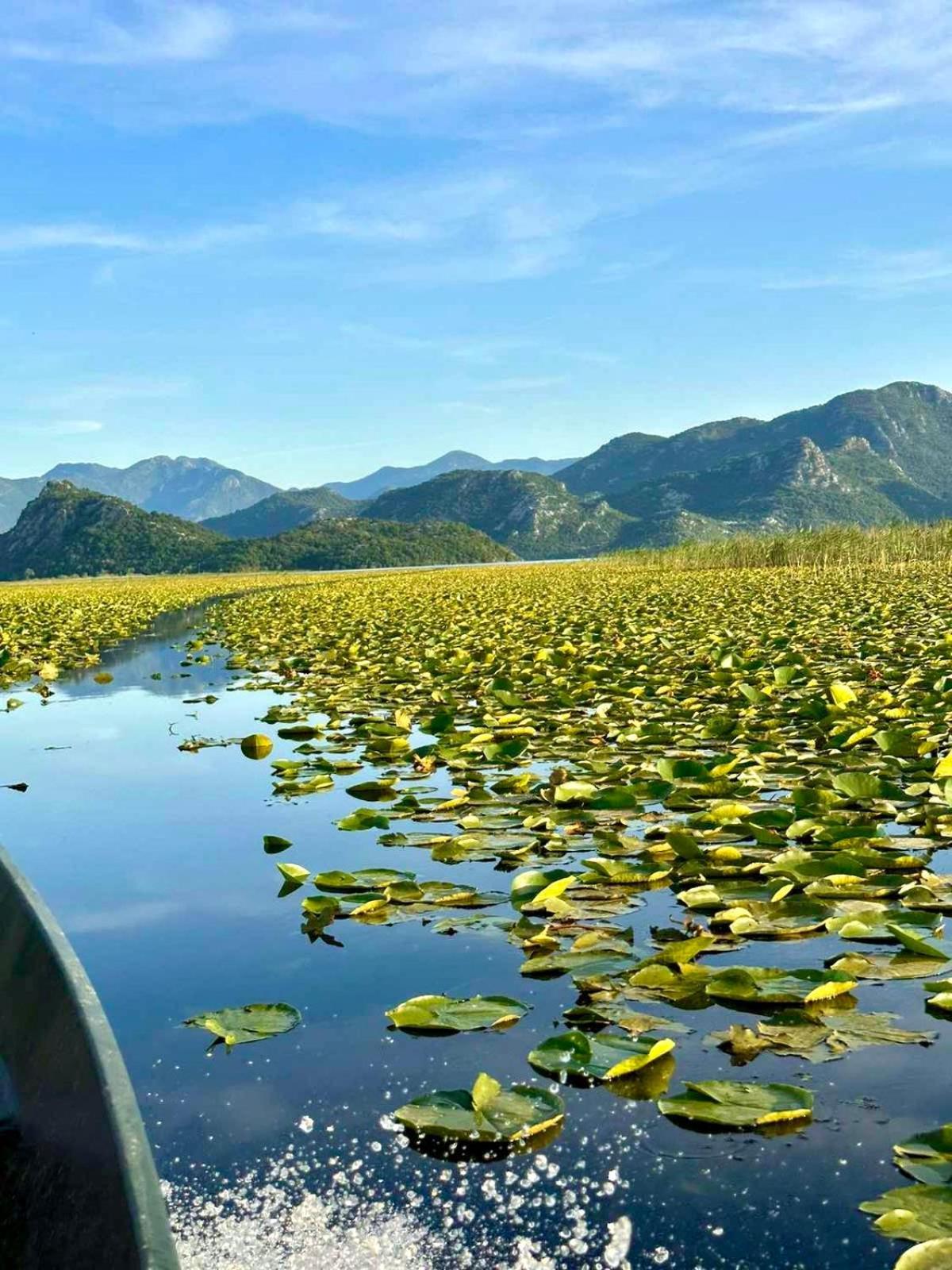 Casa Di Kiara, Skadar Lake Dodosi Екстер'єр фото